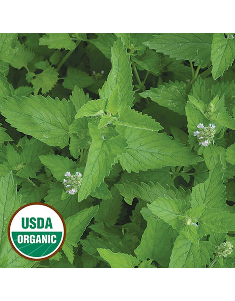Seed Saver's Exchange Herb, Catnip (organic)