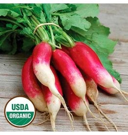 Seed Saver's Exchange Radish, French Breakfast