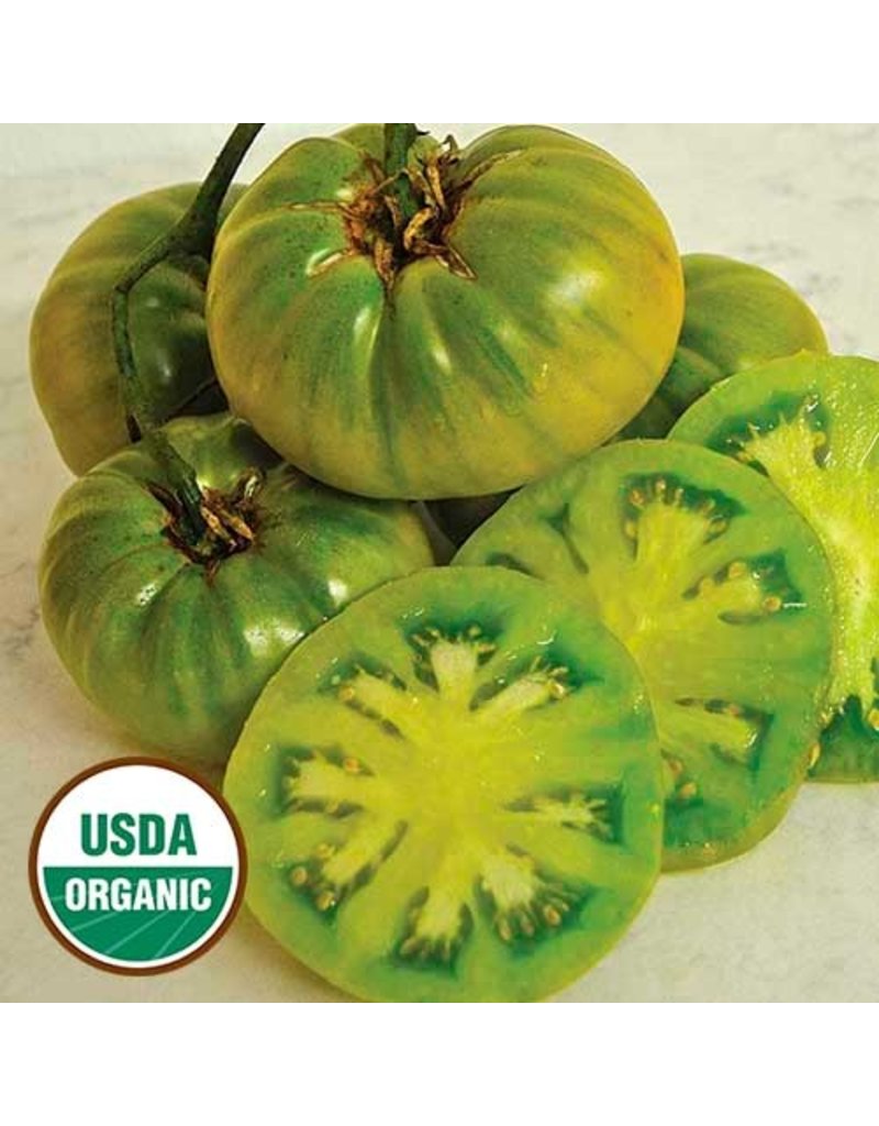 Seed Saver's Exchange Tomato, Tasty Evergreen