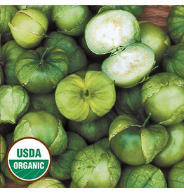 Seed Saver's Exchange Tomatillo, Green Husk