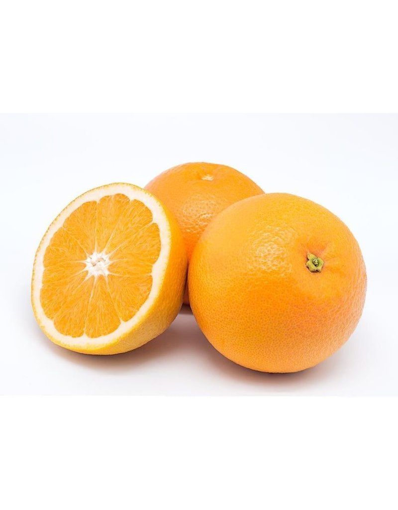 Citrus - Orange