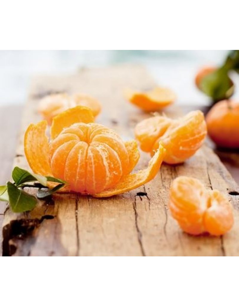 Citrus - Tangerine
