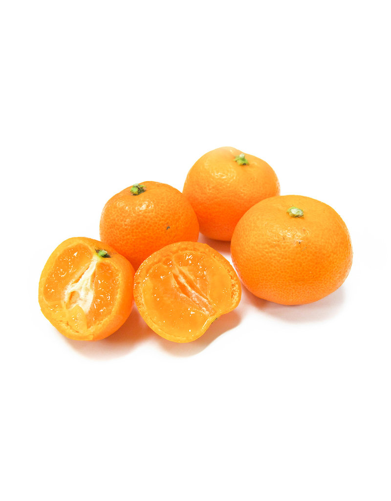 Citrus - Calamondin