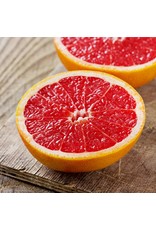 Citrus - Grapefruit