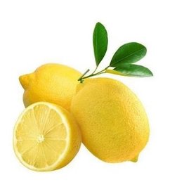 Citrus - Lemon