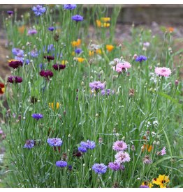 Seed Saver's Exchange Flower, Bird and Butterfly Mix