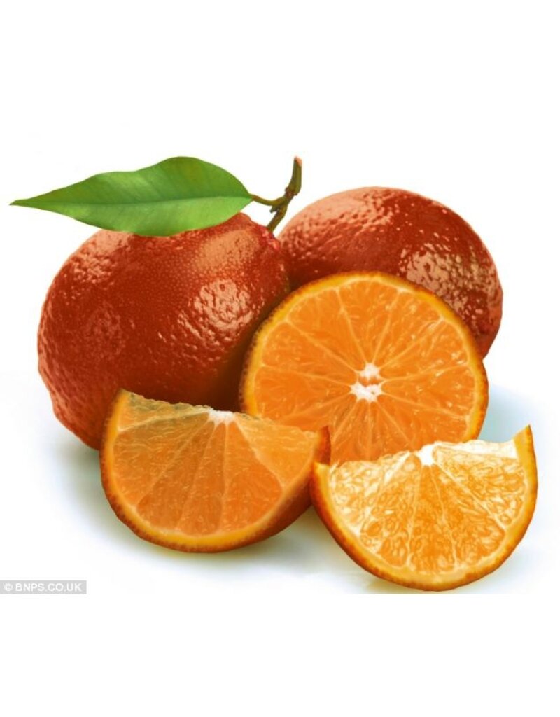 Citrus, Lime - Red