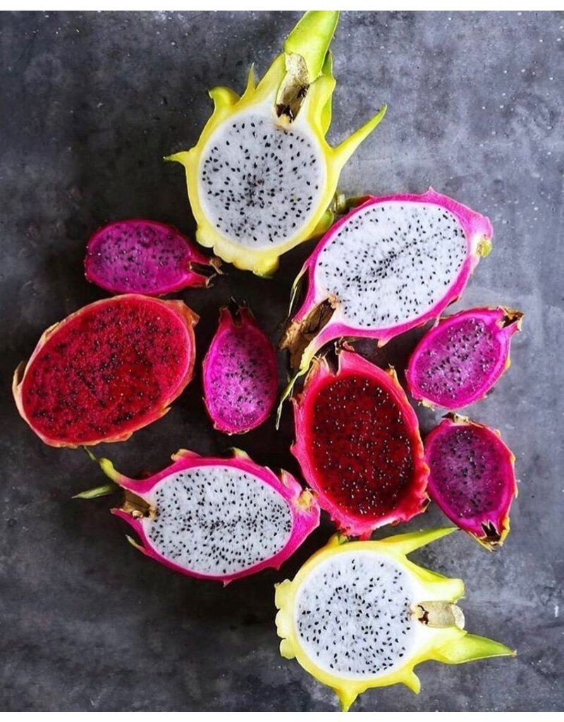 Dragonfruit - Excalibur