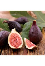 Fig - Violette de Bordeaux