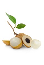 Longan Sri Chompoo 3 gallon