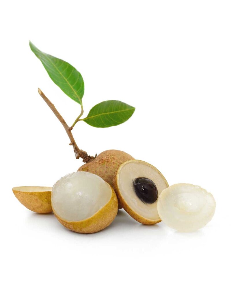 Longan Sri Chompoo 3 gallon