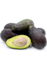 Avocado - Mexicola Grande