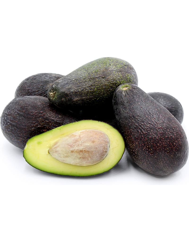Avocado - Mexicola Grande