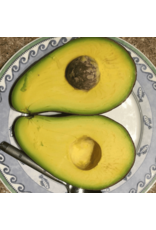 Avocado - Malama 3g