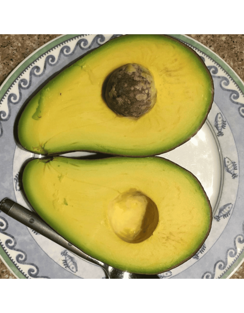 Avocado - Malama 3g