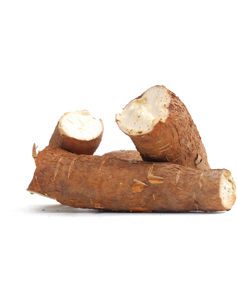 Cassava - Togo