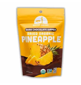 Dried Pineapple with chocolate