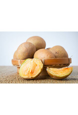 Sapodilla Tikal 3 gallon