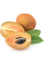Sapodilla Tikal 3 gallon