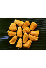 Jackfruit - Black Gold 3 Gallon Grafted