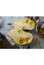 Jackfruit - Mai 1 3 Gallon Grafted