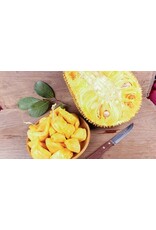 Jackfruit - Orange Crisp 3 Gallon Grafted