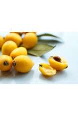 Loquat - Sherry