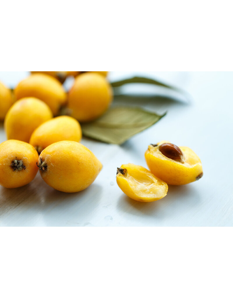 Loquat - Sherry