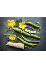 Baker Creek Seeds Dishcloth Gourd - Luffa