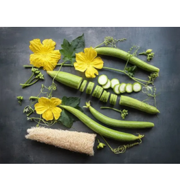 Baker Creek Seeds Dishcloth Gourd - Luffa