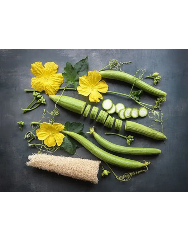 Baker Creek Seeds Dishcloth Gourd - Luffa