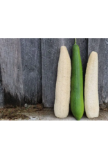 Baker Creek Seeds Dishcloth Gourd - Luffa