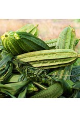 Baker Creek Seeds Krobanko Luffa Gourd