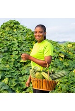 Baker Creek Seeds Krobanko Luffa Gourd