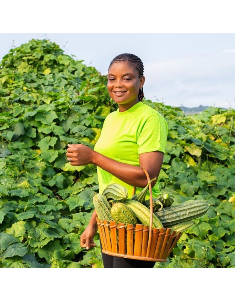 Baker Creek Seeds Krobanko Luffa Gourd