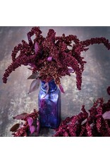 Baker Creek Seeds Amaranth Seeds, Hopi Red Dye