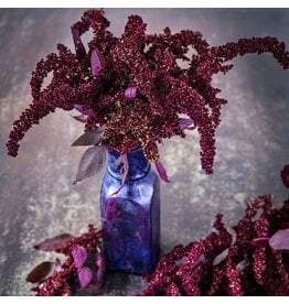 Baker Creek Seeds Amaranth Seeds, Hopi Red Dye