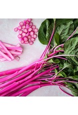 Baker Creek Seeds Amaranth Seeds, Pink Beauty