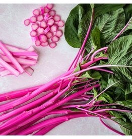 Baker Creek Seeds Amaranth Seeds, Pink Beauty