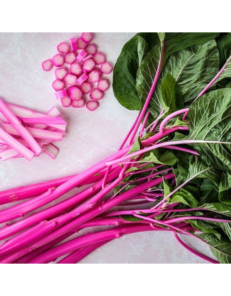 Baker Creek Seeds Amaranth Seeds, Pink Beauty