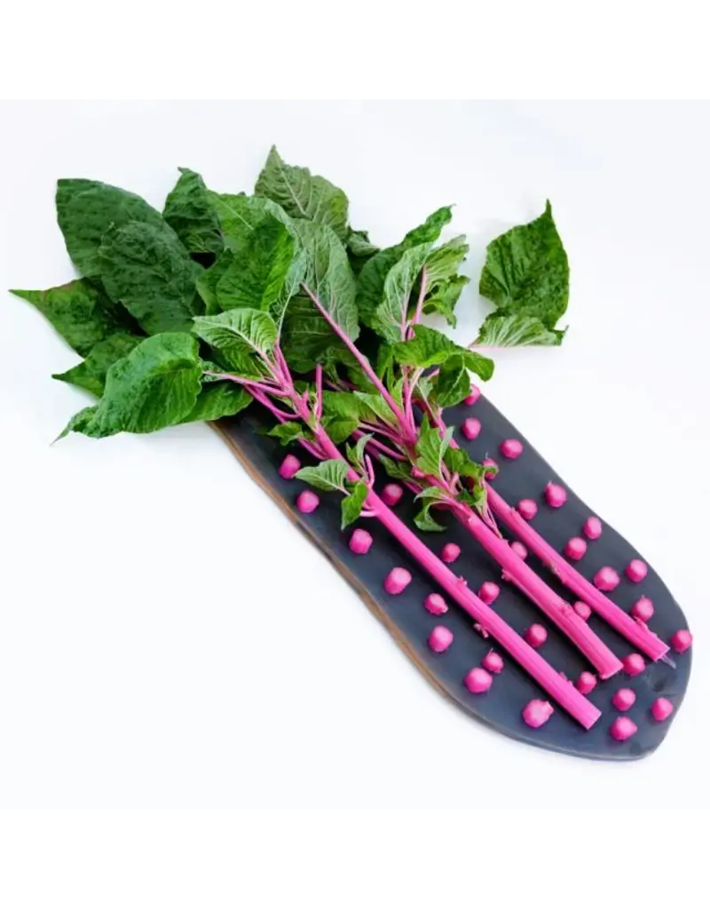 Baker Creek Seeds Amaranth Seeds, Pink Beauty