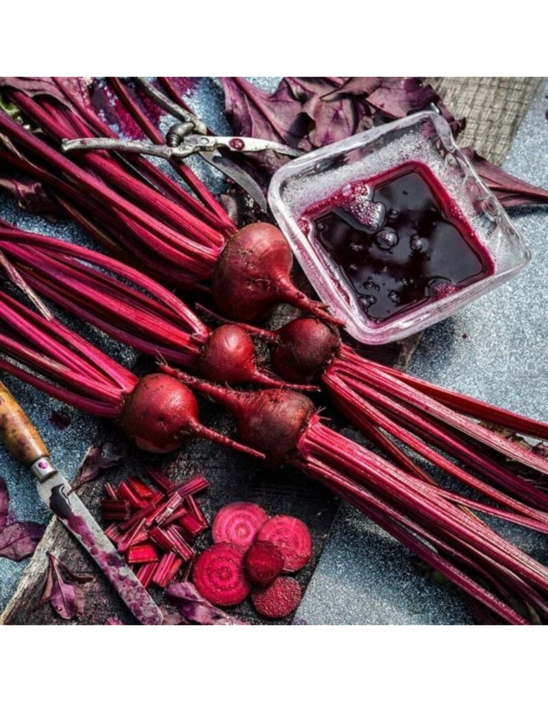 thumbnail image 2 of 1200+ Bull's Blood Beet Seeds – Fresh Harvest For Gardens, Heirloom Vegetable 2 of 6