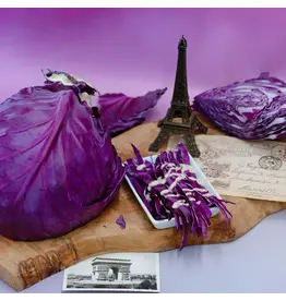 Baker Creek Seeds Tete Noire Cabbage