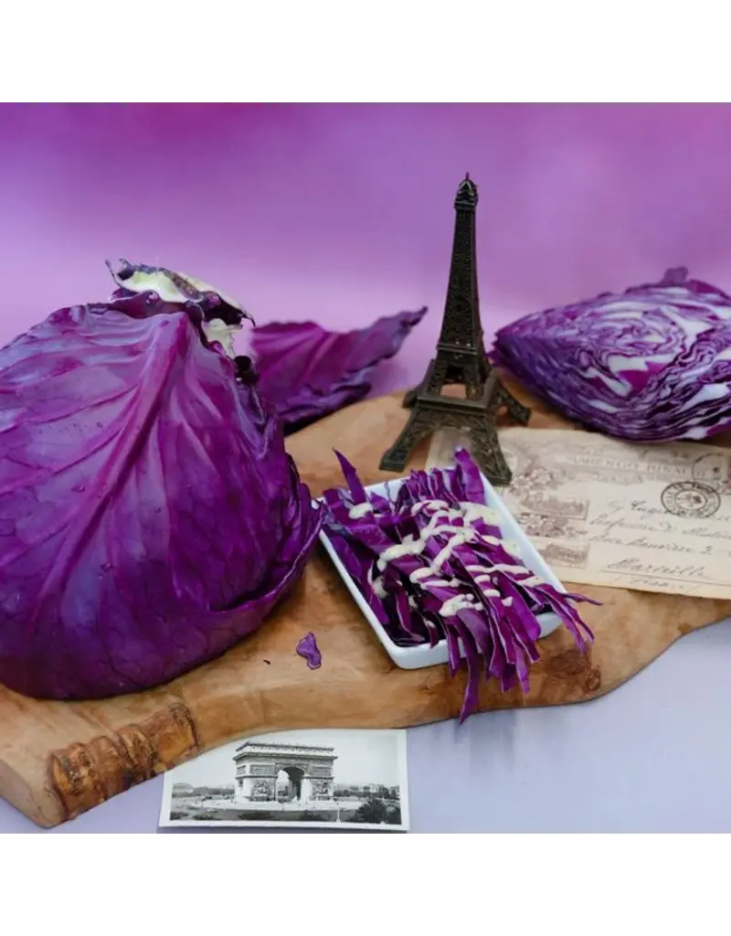 Baker Creek Seeds Tete Noire Cabbage