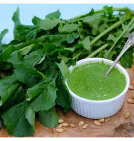 Baker Creek Seeds Arugula, Common