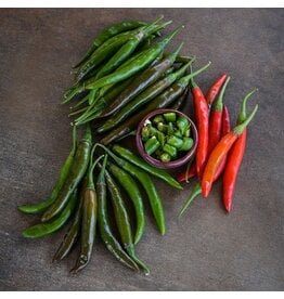 Baker Creek Seeds Korean Dark Green Hot Pepper