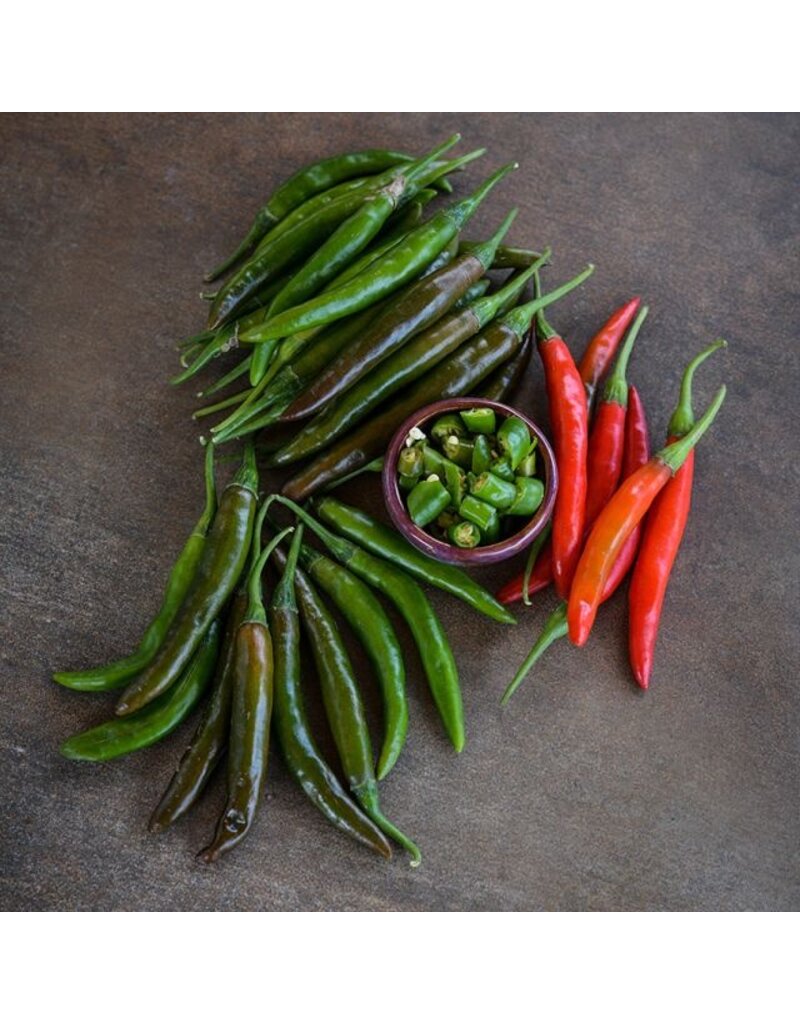 Baker Creek Seeds Korean Dark Green Hot Pepper