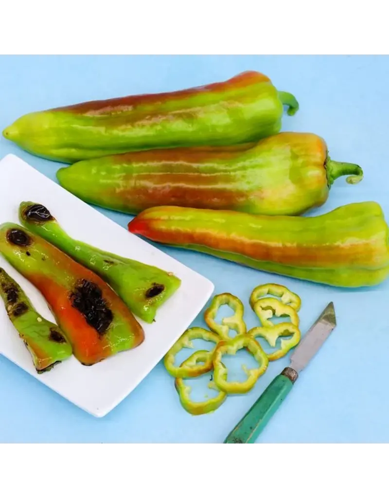 Baker Creek Seeds Pepper, Giant Aconcagua
