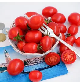 Baker Creek Seeds Tomato Grappoli D'Inverno