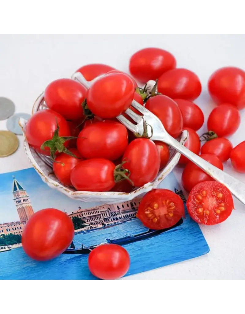 Baker Creek Seeds Grappoli D'Inverno Tomato